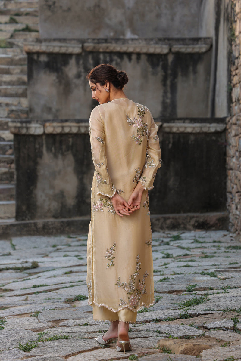 Vaayu Beige Multicolor Jaal Kurta Set organza , silk tencel kurta/kurta set by Niti Bothra in beige for women in Singapore