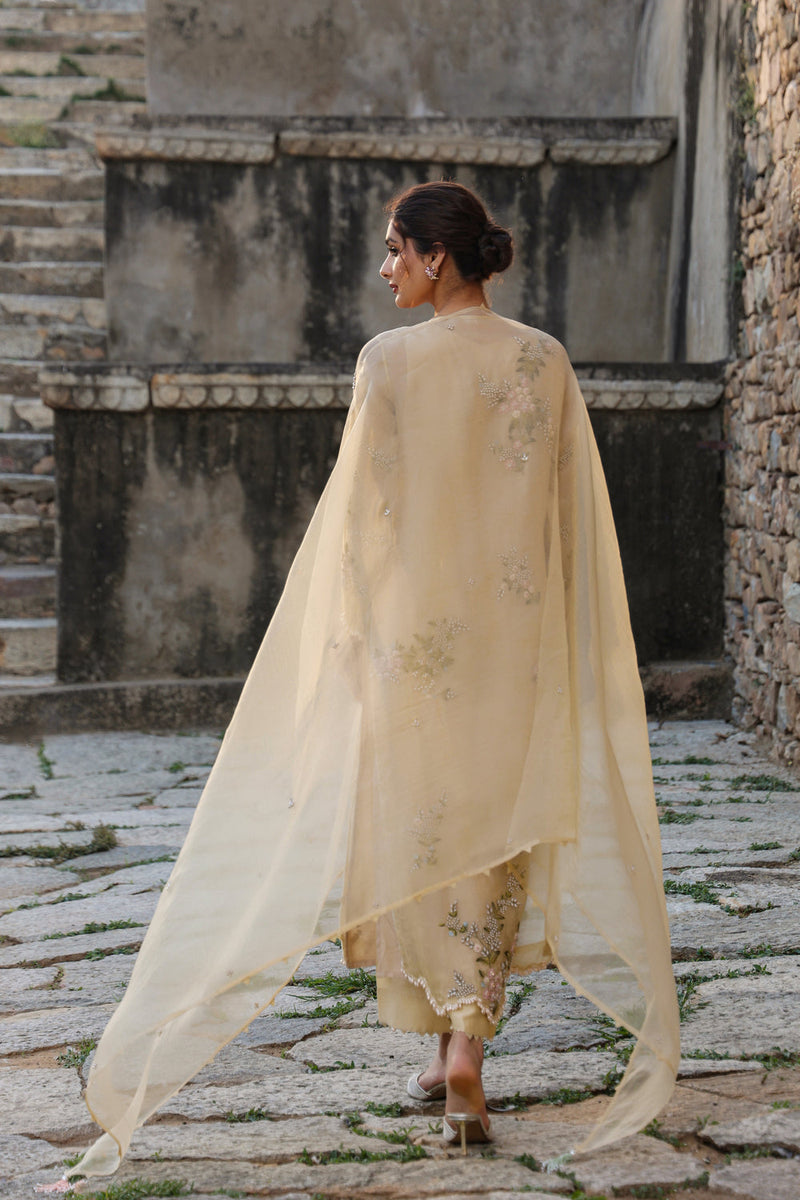 Vaayu Beige Multicolor Jaal Kurta Set organza , silk tencel kurta/kurta set by Niti Bothra in beige for women in Singapore