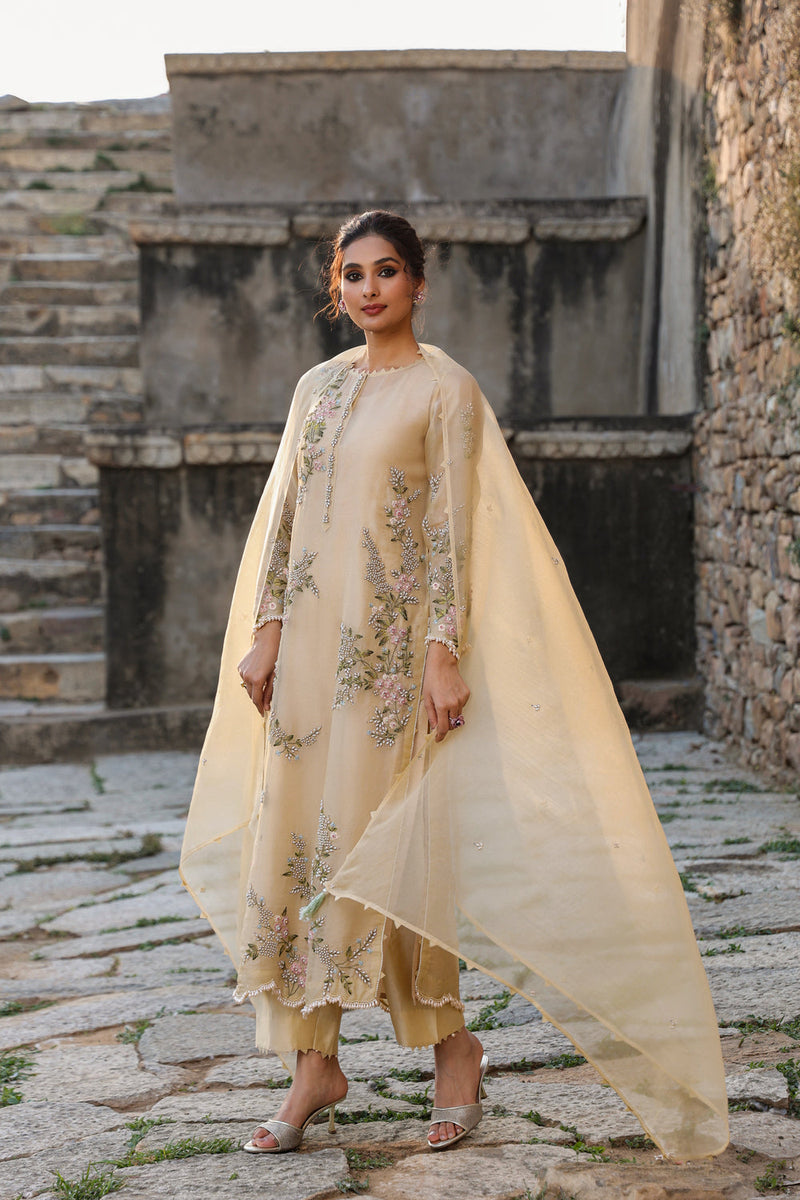 Vaayu Beige Multicolor Jaal Kurta Set organza , silk tencel kurta/kurta set by Niti Bothra in beige for women in Singapore