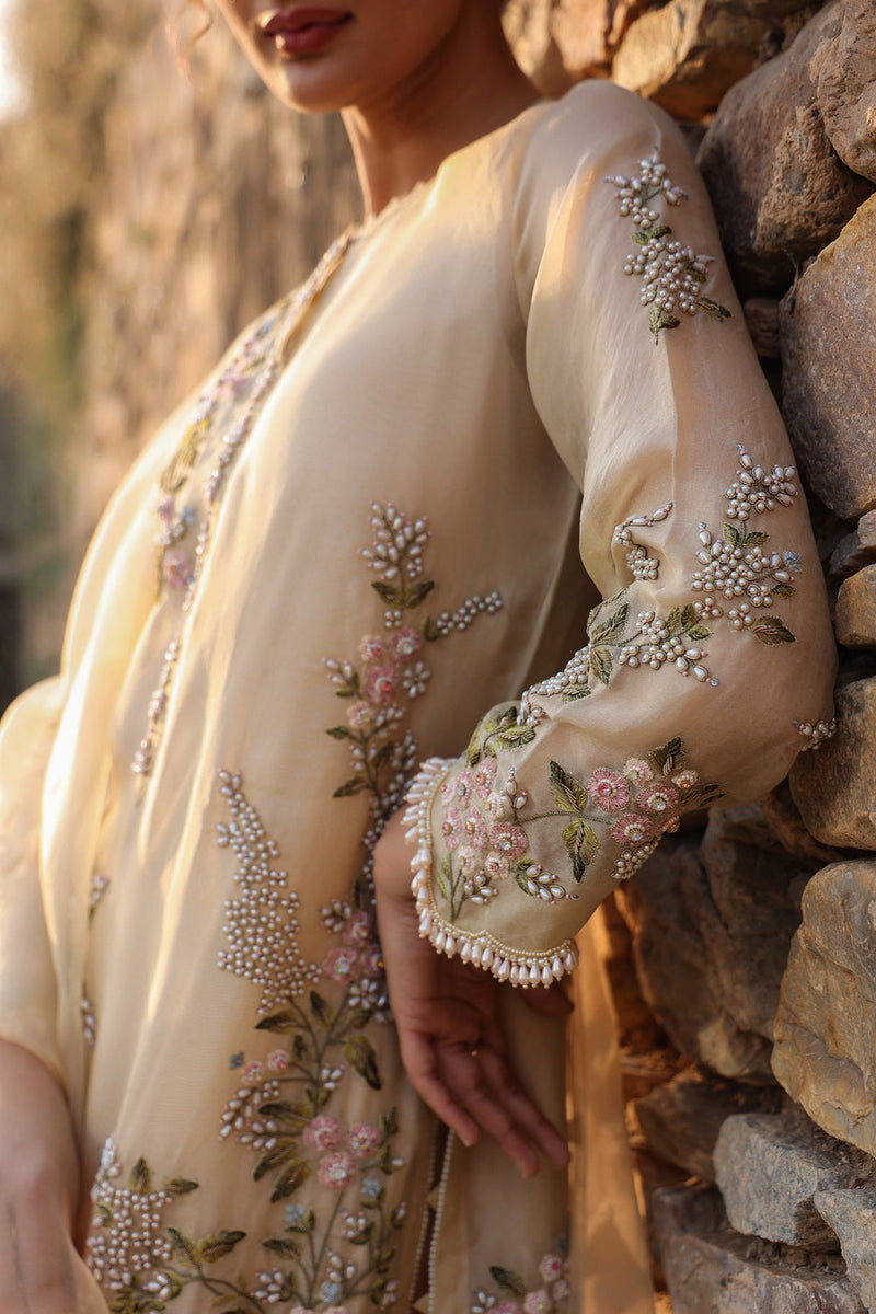 Vaayu Beige Multicolor Jaal Kurta Set organza , silk tencel kurta/kurta set by Niti Bothra in beige for women in Singapore
