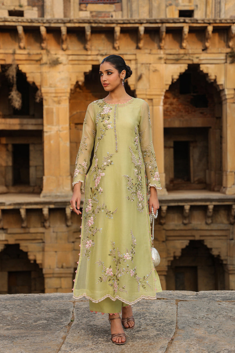 Vaayu Green Multicolor Jaal Kurta Set organza , silk tencel kurta/kurta set by Niti Bothra in green for women in Singapore