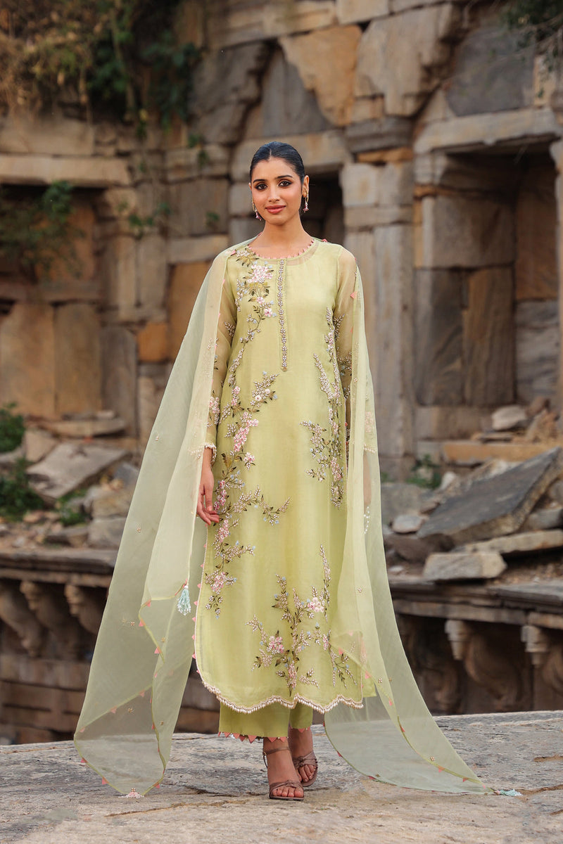 Vaayu Green Multicolor Jaal Kurta Set organza , silk tencel kurta/kurta set by Niti Bothra in green for women in Singapore