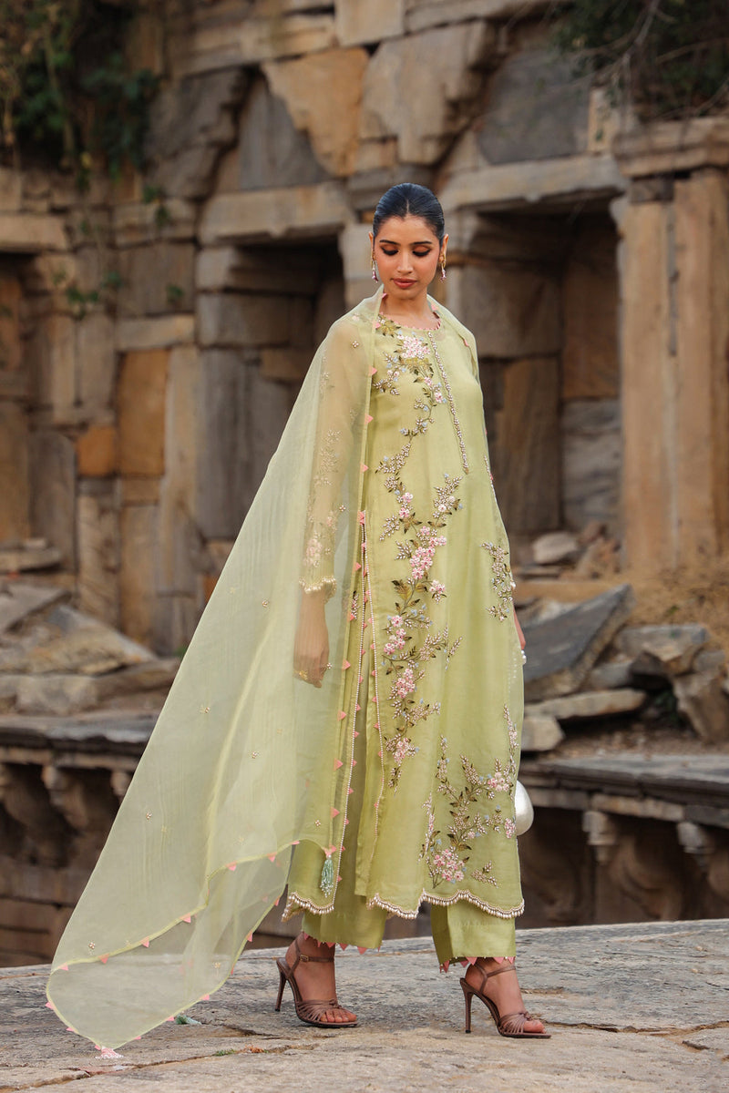 Vaayu Green Multicolor Jaal Kurta Set organza , silk tencel kurta/kurta set by Niti Bothra in green for women in Singapore