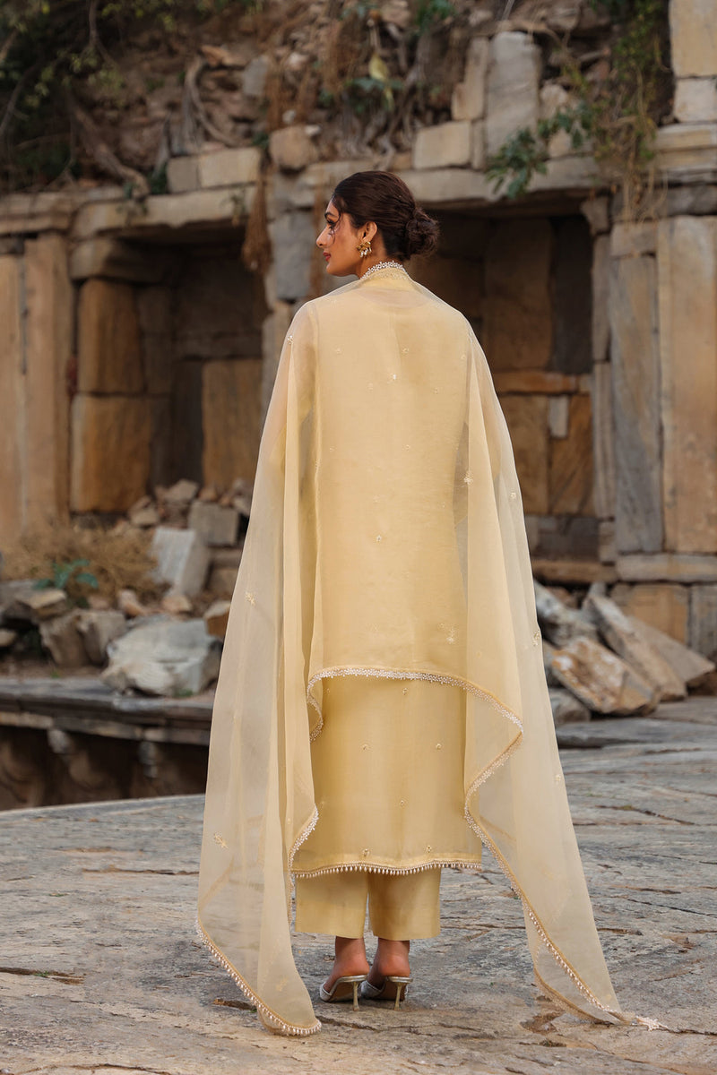 Vaayu Beige Heavy Jacket Kurta Set organza , silk tencel kurta/kurta set by Niti Bothra in beige for women in Singapore
