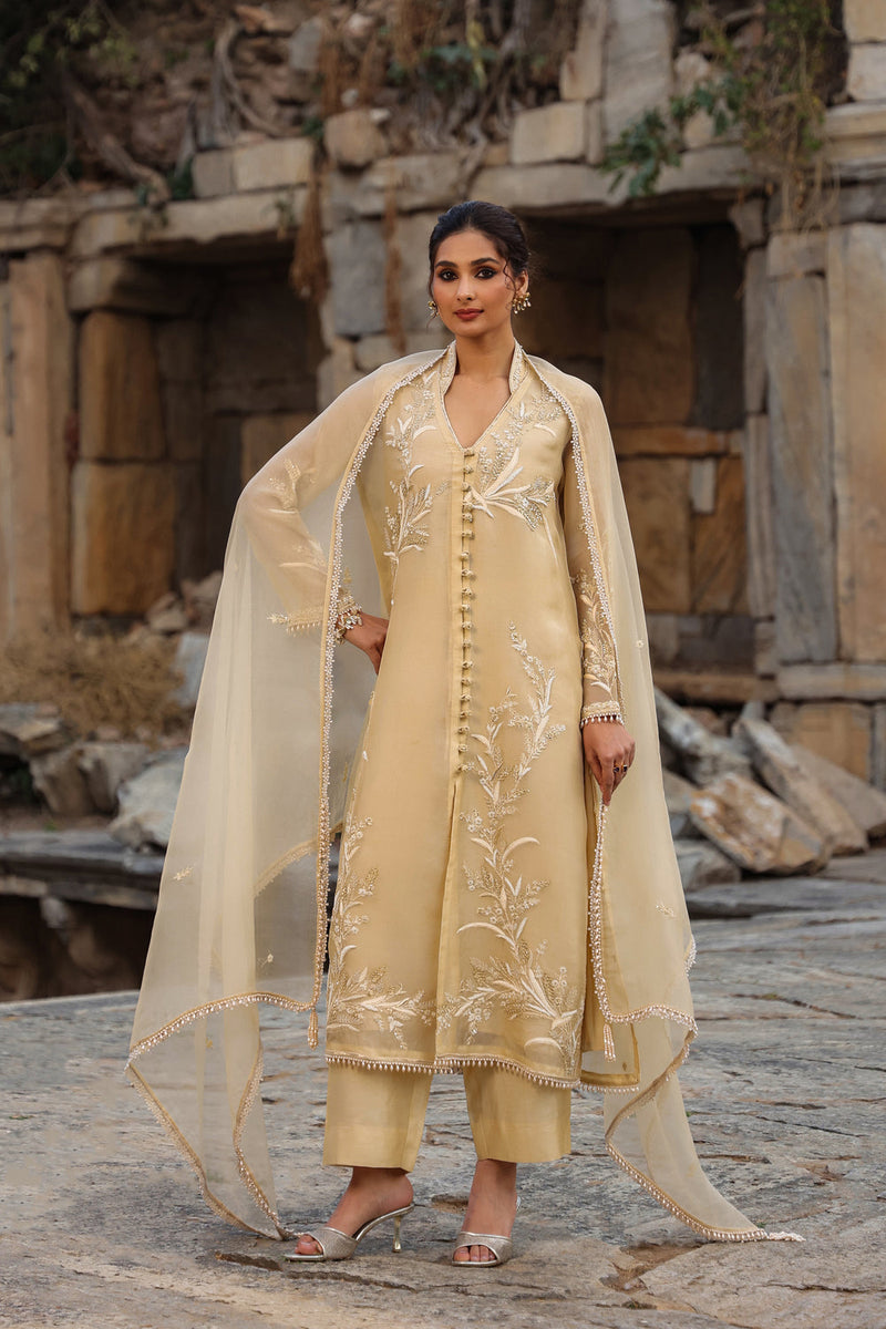Vaayu Beige Heavy Jacket Kurta Set organza , silk tencel kurta/kurta set by Niti Bothra in beige for women in Singapore