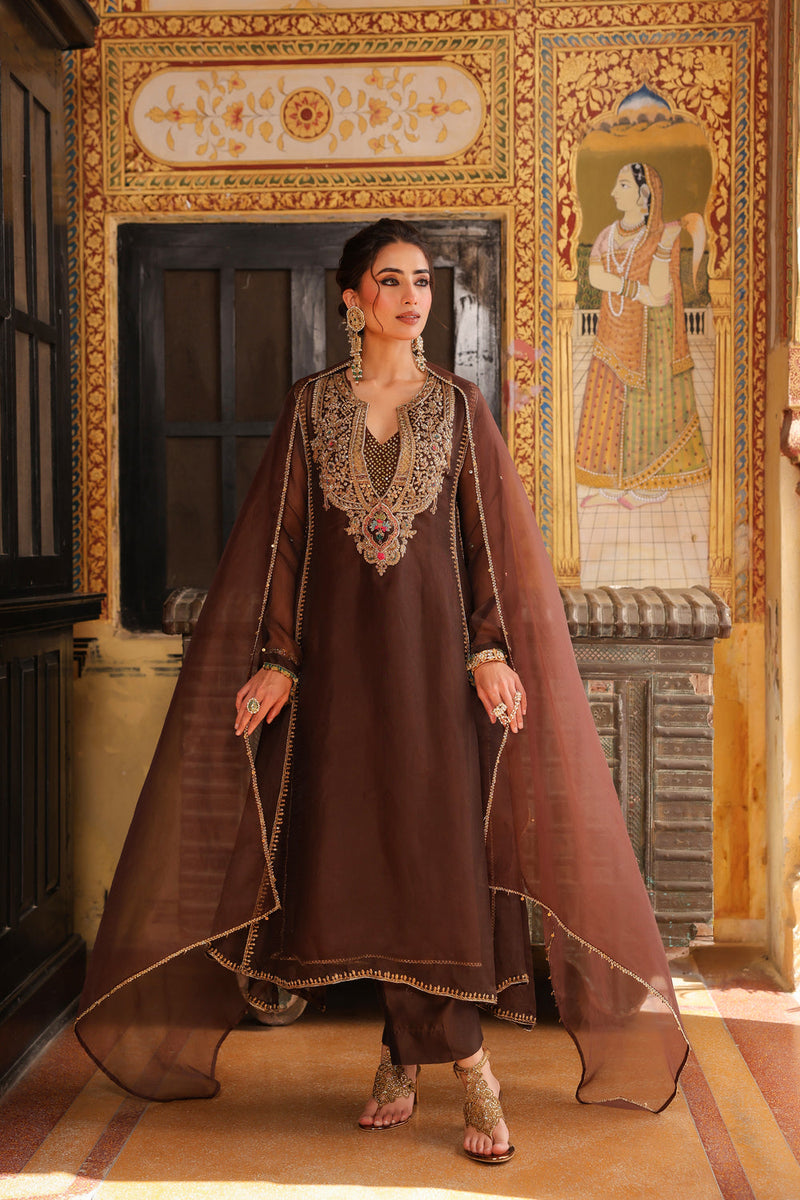 Ahista Brown Pakhi Yoke Pheran Long Kurta Set organza kurta/kurta set by Niti Bothra in brown for women in Singapore