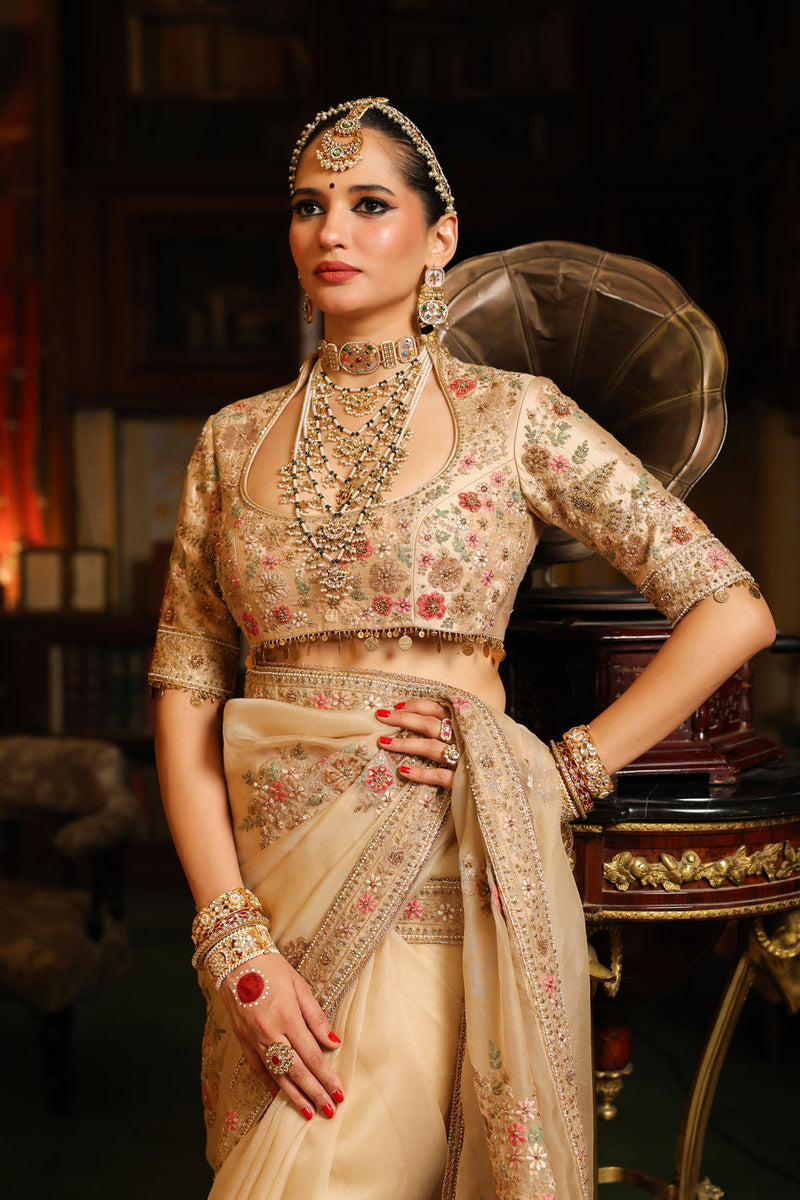 Ahista Ivory Mayur Applique Saree Set organza & chiniya silk saree by Niti Bothra in ivory for women in Singapore