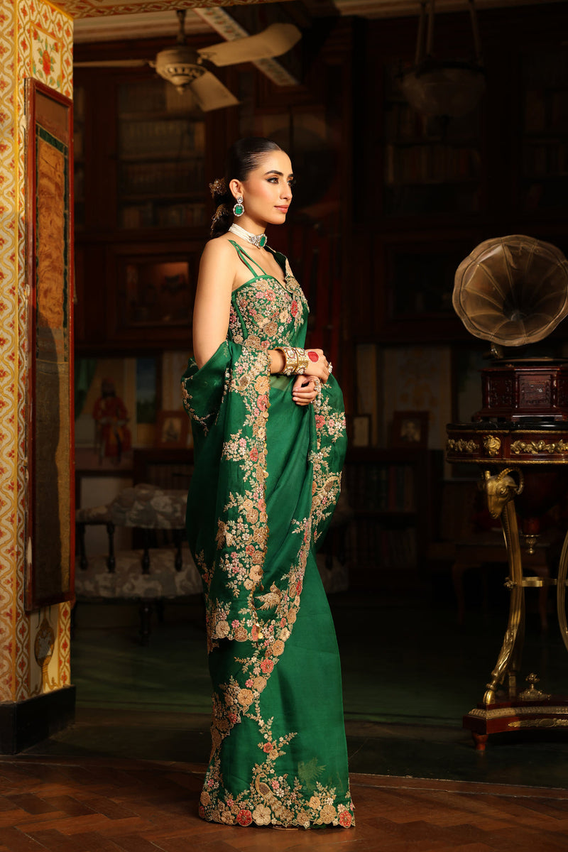 Ahista Green Mayur Applique Cutwork Saree Set organza & chiniya silk saree by Niti Bothra in green for women in Singapore