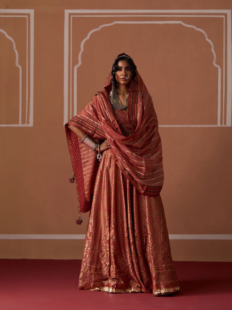 Suhana Dupatta chanderi dupatta by SWATTI KAPOOR in peach for women in Singapore