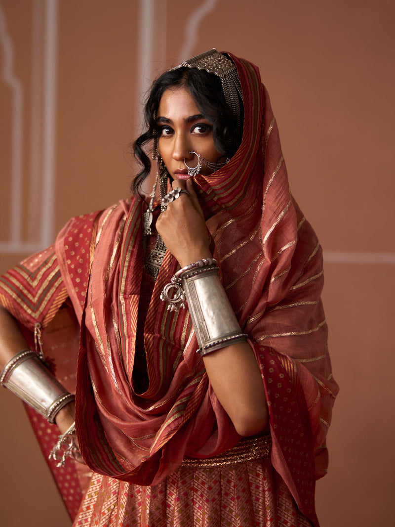 Suhana Dupatta chanderi dupatta by SWATTI KAPOOR in peach for women in Singapore