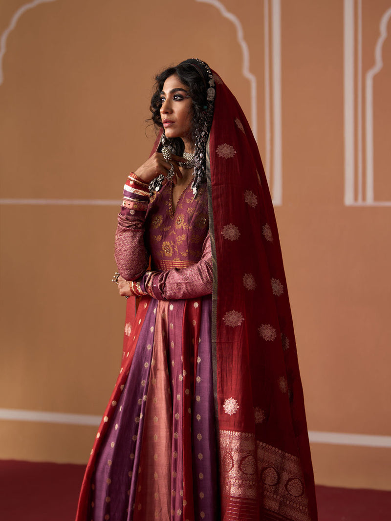 Afzi Dupatta banarasi dupatta by SWATTI KAPOOR in rust for women in Singapore