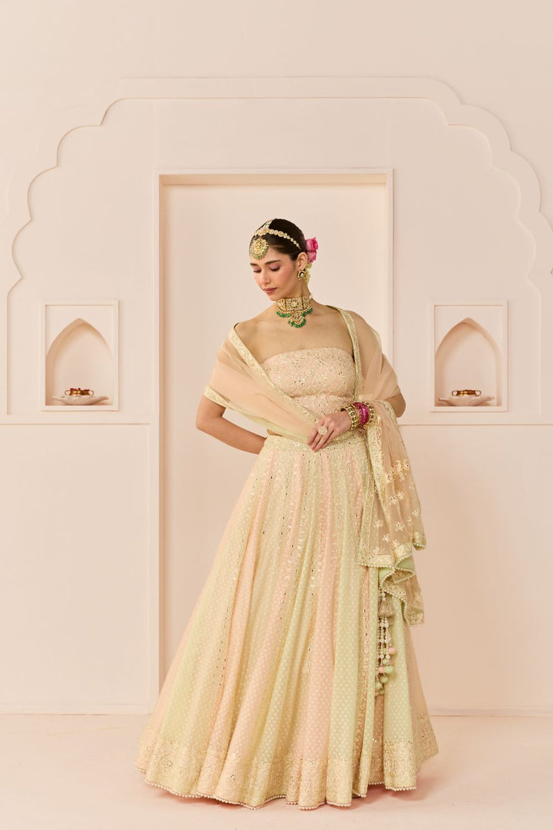 UMAIZA - CARNATION PINK LEHENGA WITH BLOUSE AND DUPATTA chanderi silk lehenga sets by SHEETAL BATRA in carnation pink and mint green for women in Singapore