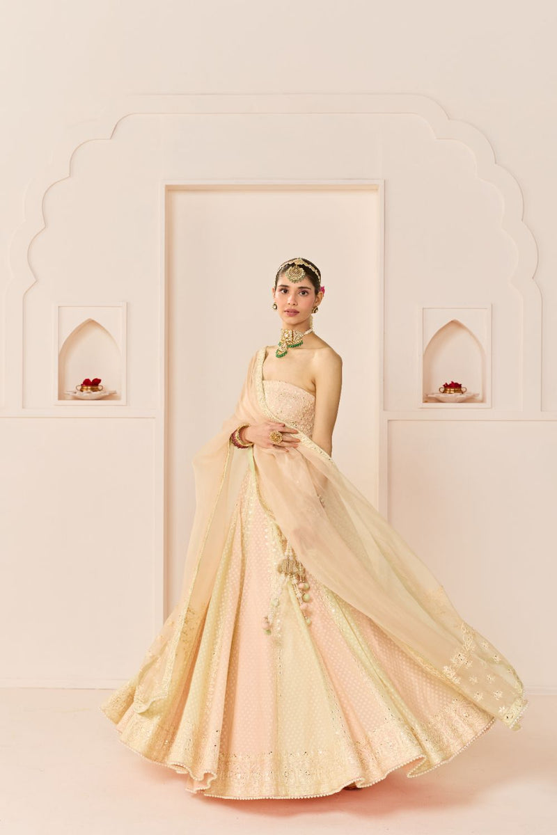 UMAIZA - CARNATION PINK LEHENGA WITH BLOUSE AND DUPATTA chanderi silk lehenga sets by SHEETAL BATRA in carnation pink and mint green for women in Singapore