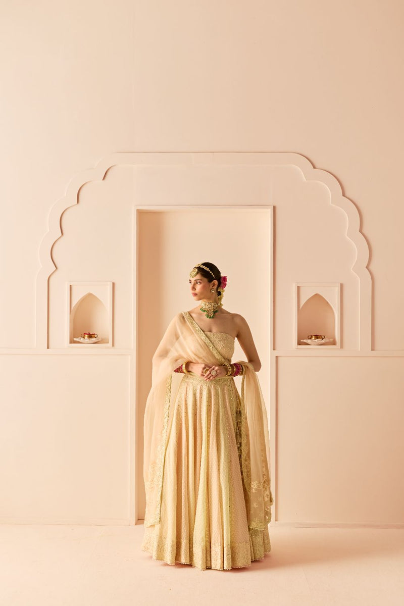 UMAIZA - CARNATION PINK LEHENGA WITH BLOUSE AND DUPATTA chanderi silk lehenga sets by SHEETAL BATRA in carnation pink and mint green for women in Singapore