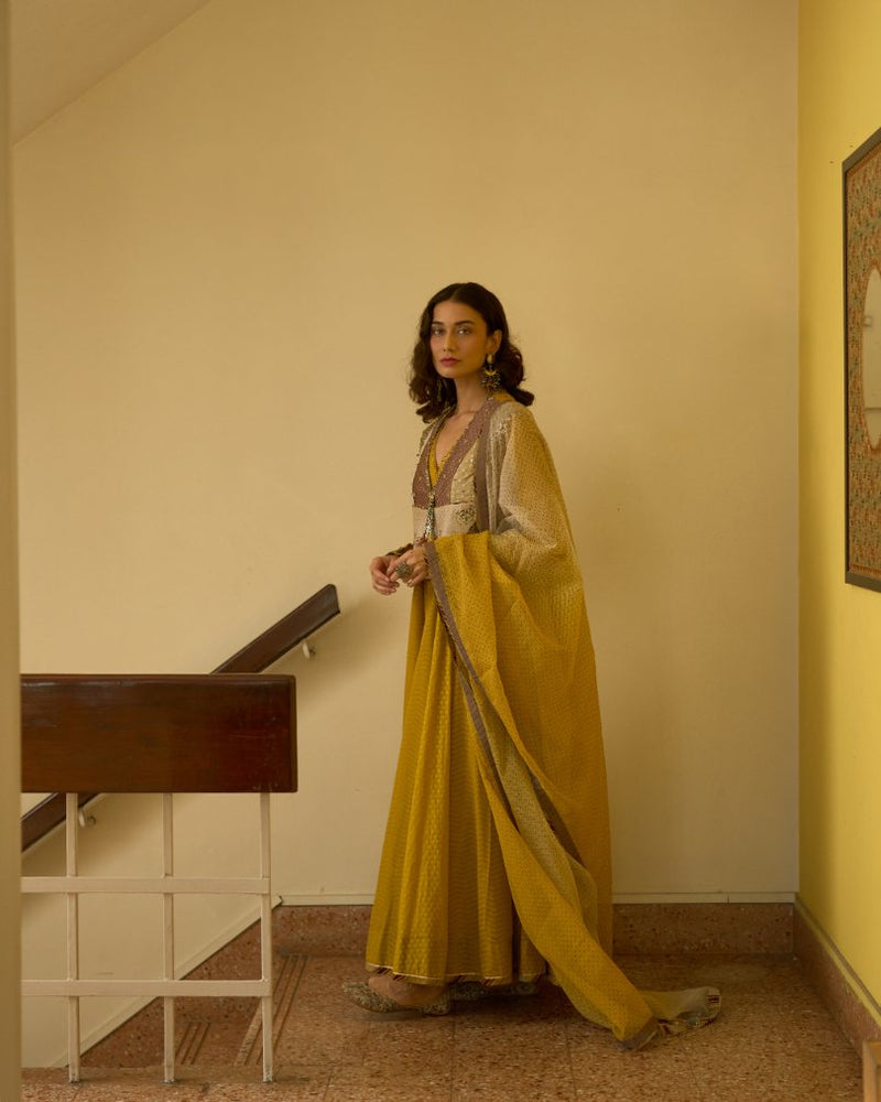 Lopa Dupatta chanderi dupatta by SWATTI KAPOOR in multi-color for women in Singapore