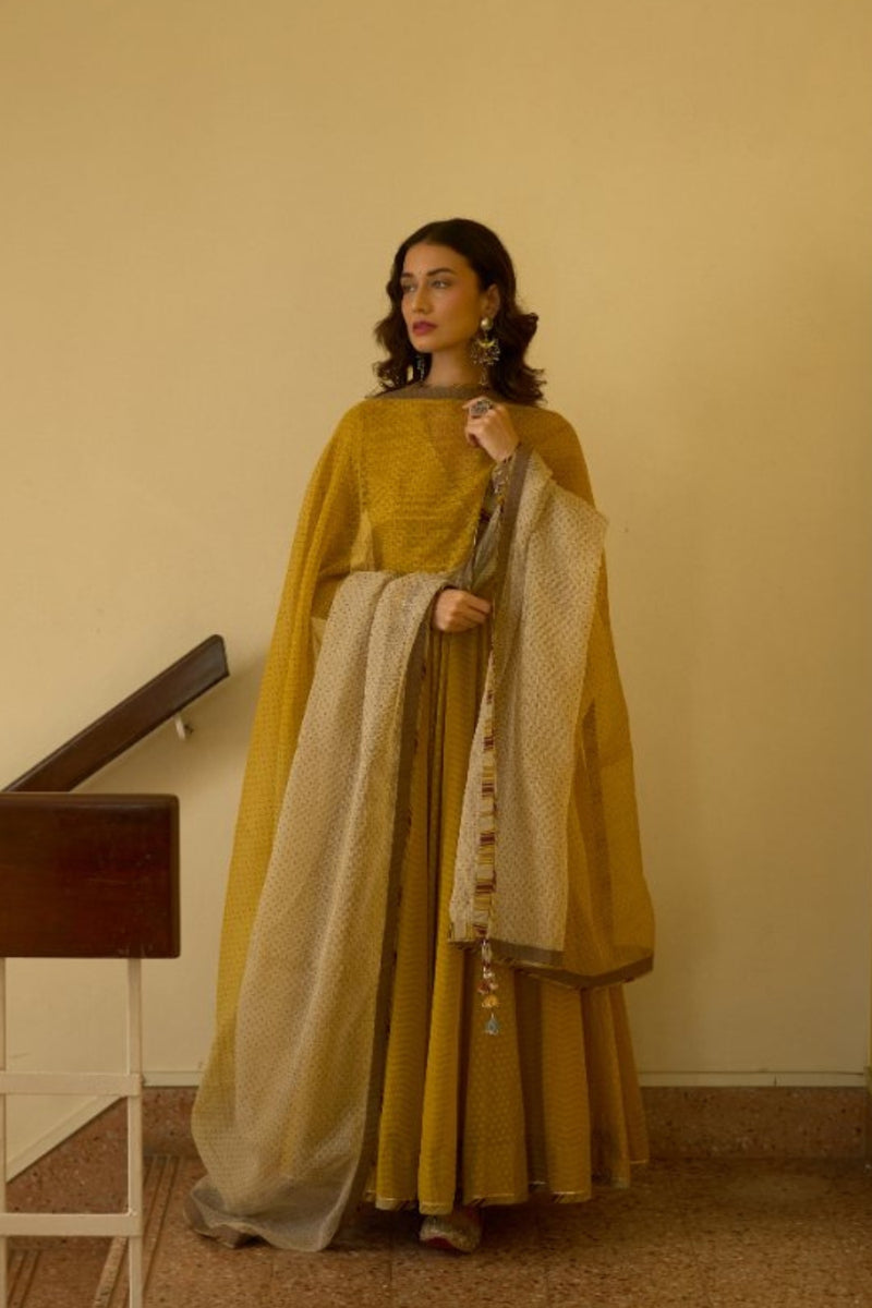 Lopa Dupatta chanderi dupatta by SWATTI KAPOOR in multi-color for women in Singapore