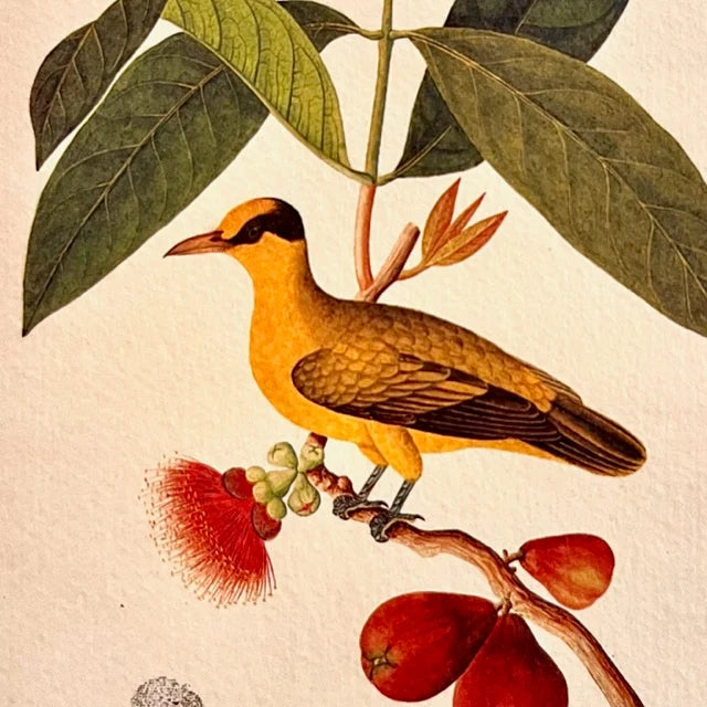 Mug Gold Bird