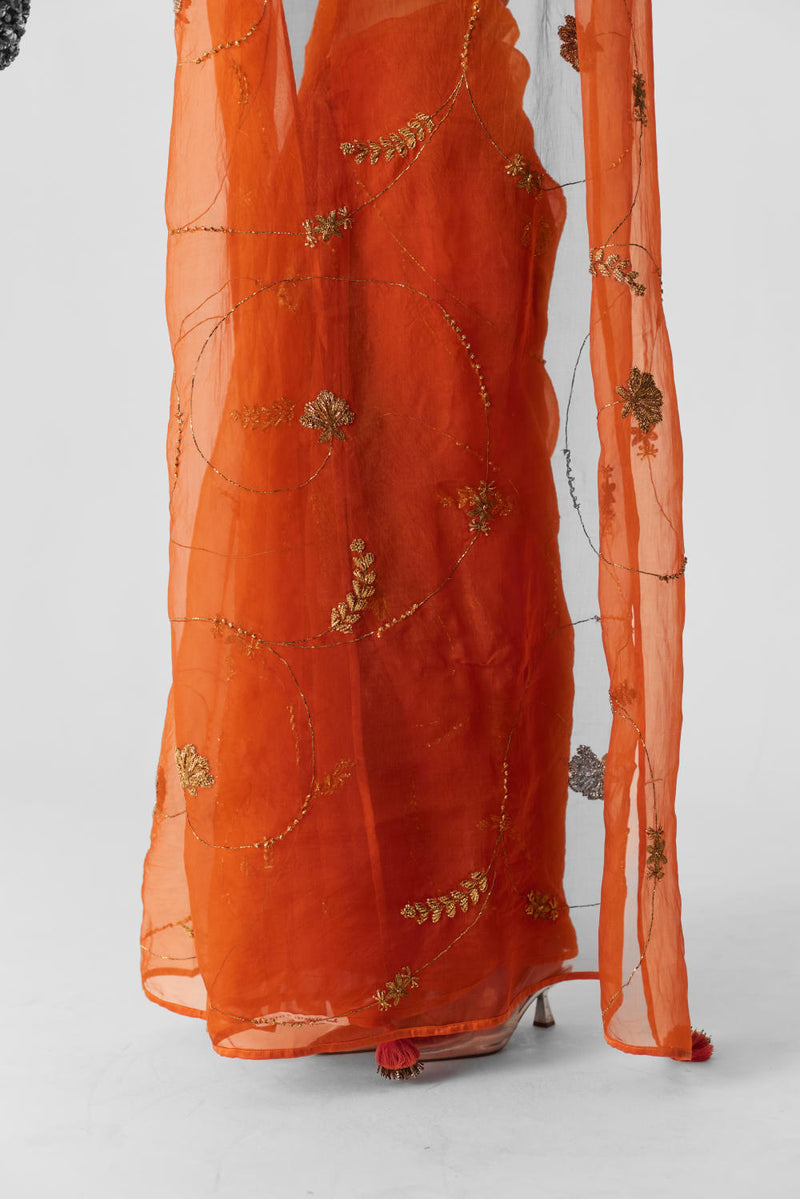 ORANGE EMBROIDERED SAREE organza by Yam in orange color for women in Singapore