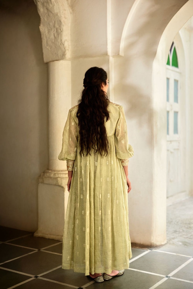 PH-3114 Solene Palazzo Jacket Set by Paulmi & Harsh in green color for women in Singapore
