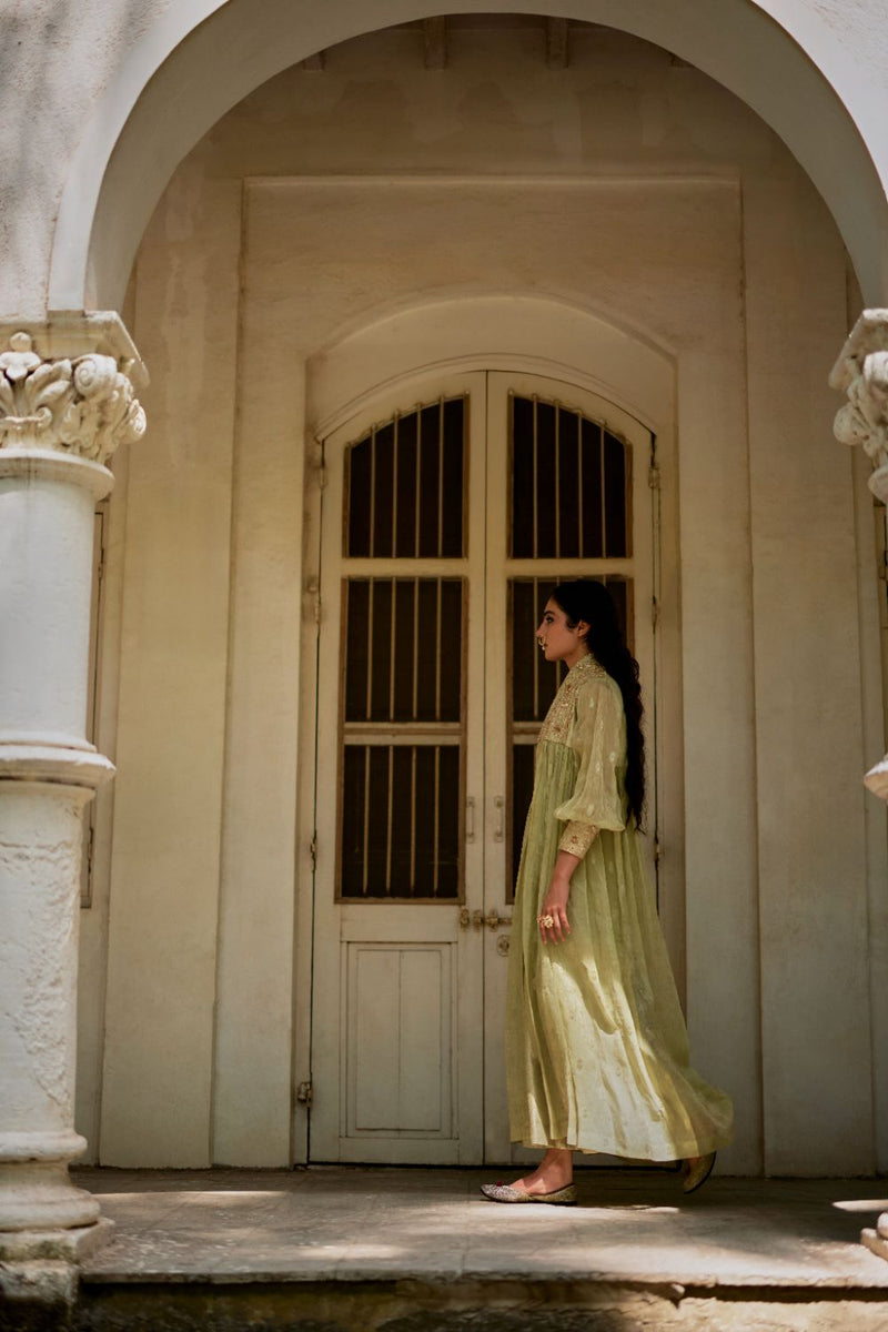 PH-3114 Solene Palazzo Jacket Set by Paulmi & Harsh in green color for women in Singapore