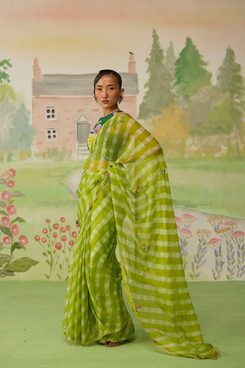 Trellis Green Kota Doria Silk Lehriya Mothra Sari silk saree by Nadiya Paar in green for women in Singapore