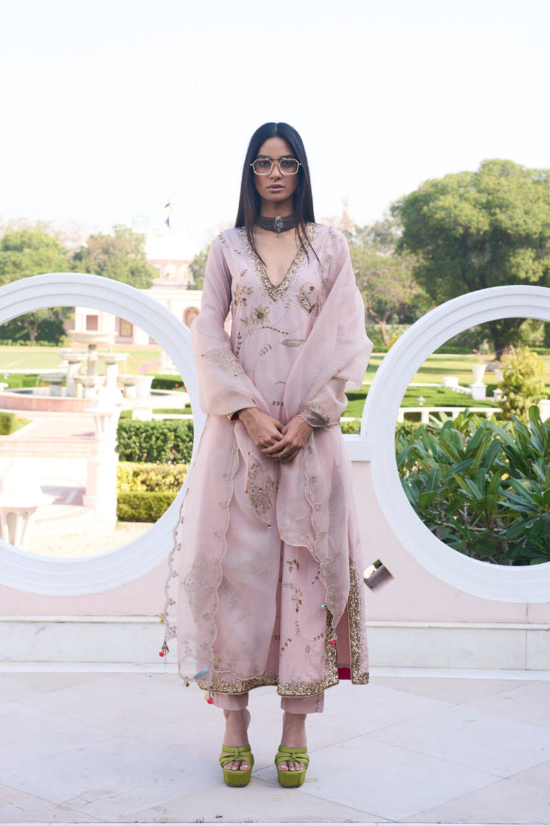 Retro Raani Champagne Pink Jaal Kurta Set silk, silk organza kurta/kurta set by Rajiramniq in pink for women in Singapore