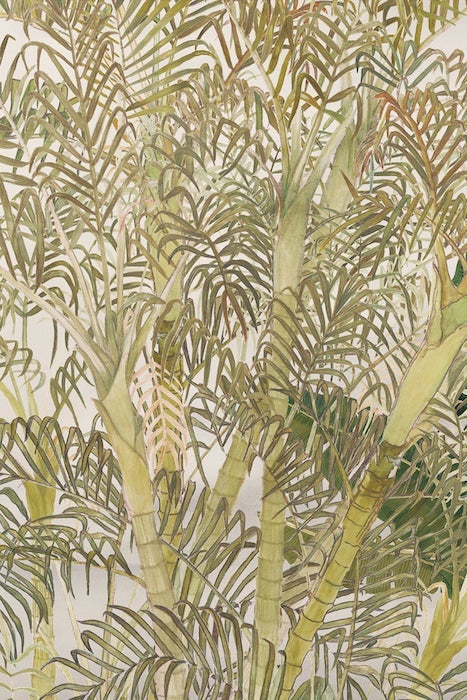 ARECA PALM | ART PRINT Art Tilla 