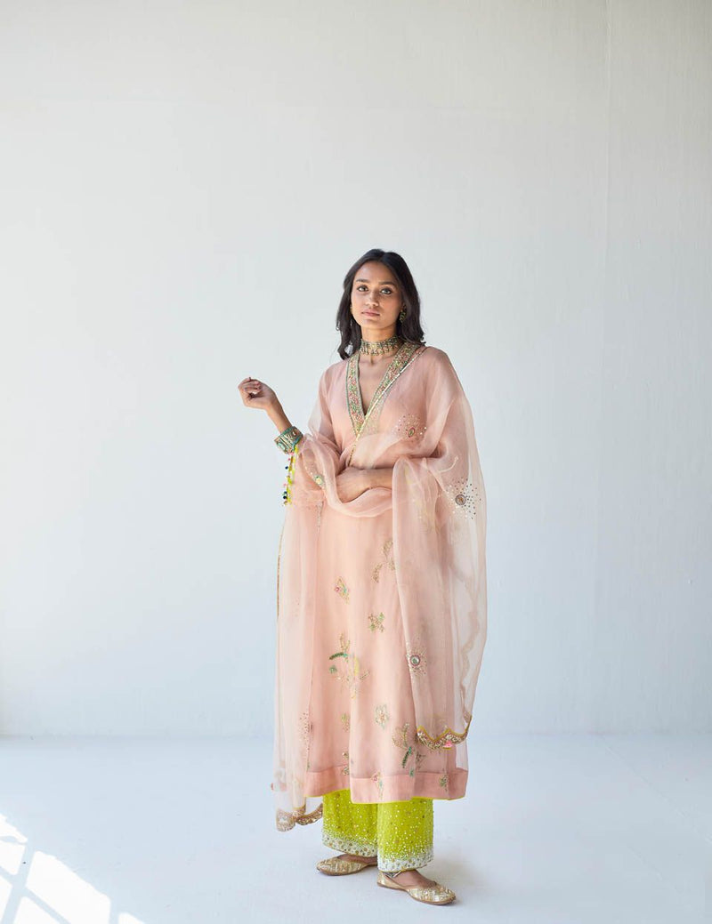 NUDE PINK JAAL ORGANZA KURTA SET Kurta Sets by Rajiramniq for women in Singapore