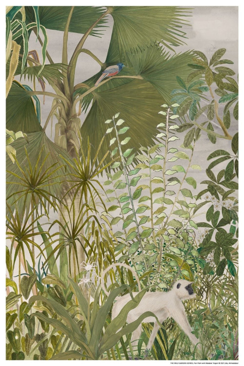 FAN PALM WITH MALABAR TROGON | ART PRINT Art Tilla 