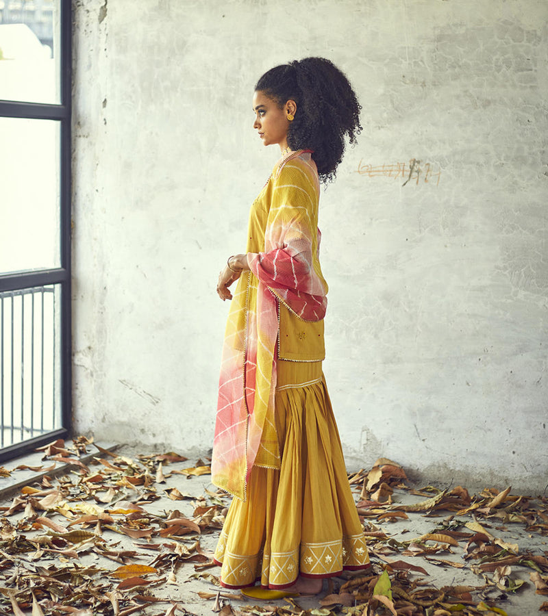 Halda Sharara Set Kurta Sets by Khara Kapas for women in Singapore