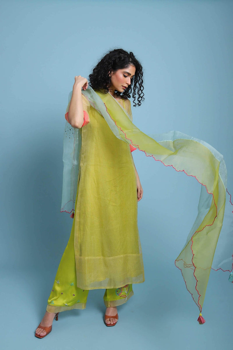 Life in Pink Organza Kurta set Co-ord Set,Kurta Sets by Rajiramniq for women in Singapore