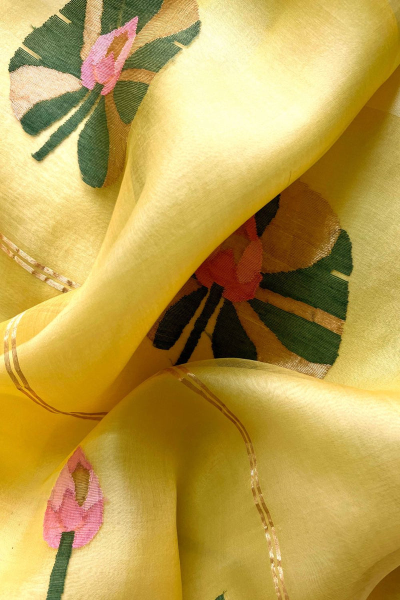 Paaro Sari Sarees by Suparna Som for women in Singapore